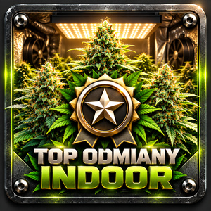najleosze idnuaby indoor
